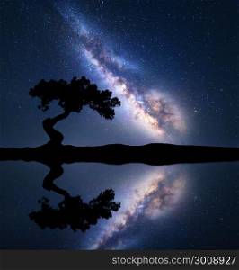 Milky Way with alone crooked tree on the hill near the river with sky reflection in water. Colorful night landscape with milky way, starry sky and lake in summer. Space background. Astrophotography