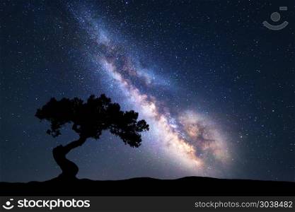 Milky Way with alone old tree on the hill. Milky Way with alone old tree on the hill. Colorful night landscape with milky way, sky with stars and hills in summer. Space background. Amazing astrophotography. Beautiful universe. Nature