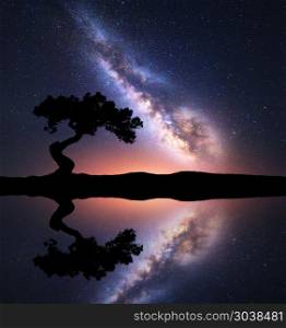 Milky Way with alone tree on the hill near the lake. Milky Way with alone tree on the hill near the lake with sky reflection in water. Colorful night landscape with milky way, sky with stars and pond in summer. Space background. Astrophotography. Nature