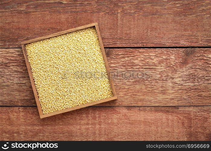 millet grain in a wooden box. gluten free millet grain in a square box against rustic barn wood with a copy space