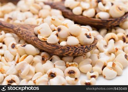 millet grains background
