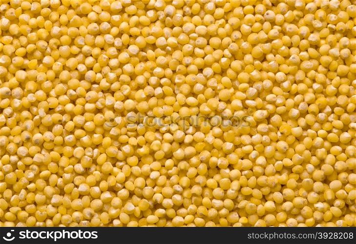 Millet Texture, Background close up