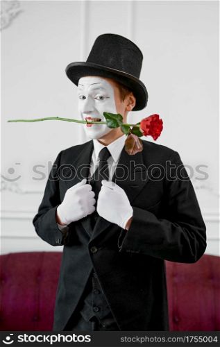 Mime artist, gentleman in love with a rose. Pantomime theater, parody comedian, positive emotion, humour performance, funny face mimic and grimace. Mime artist, gentleman in love with a rose