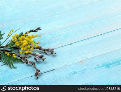 Mimosa and Verba on gray background. Branches of Mimosa and Verba on wooden background.. Branches of Mimosa and Verba on wooden background. Mimosa and Verba on gray background.