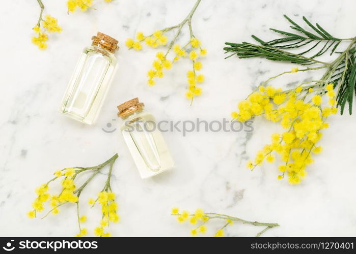 Mimosa essential oil on marble table. Acacia dealbata oil. Top view
