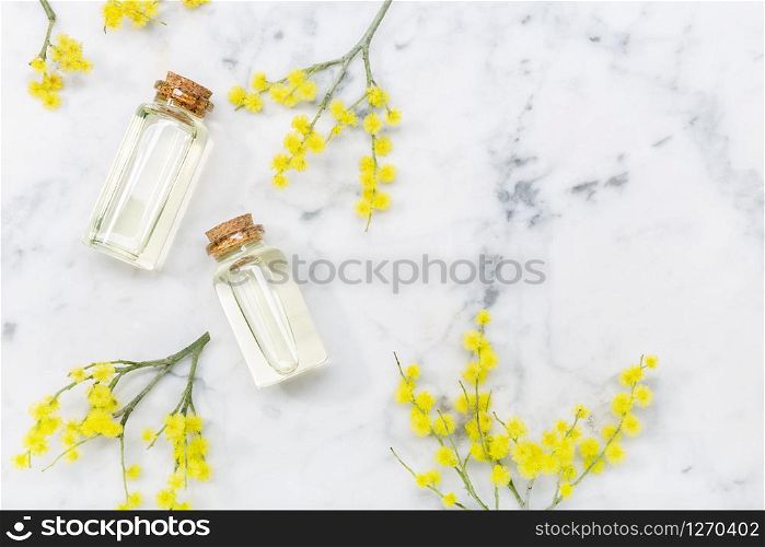 Mimosa essential oil on marble table. Acacia dealbata oil. Top view