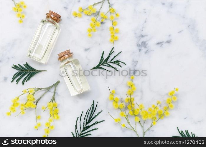 Mimosa essential oil on marble table. Acacia dealbata oil. Top view Copy space
