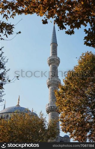 Minaret and dome of the Blue Mosque on the background of the blue sky, Istanbul, Turkey. Blue Mosque Sultan Ahmet Cami in Istanbul Turkey