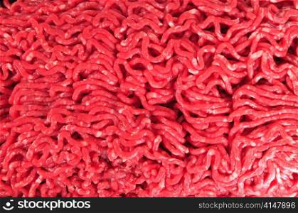 Minced meat isolated