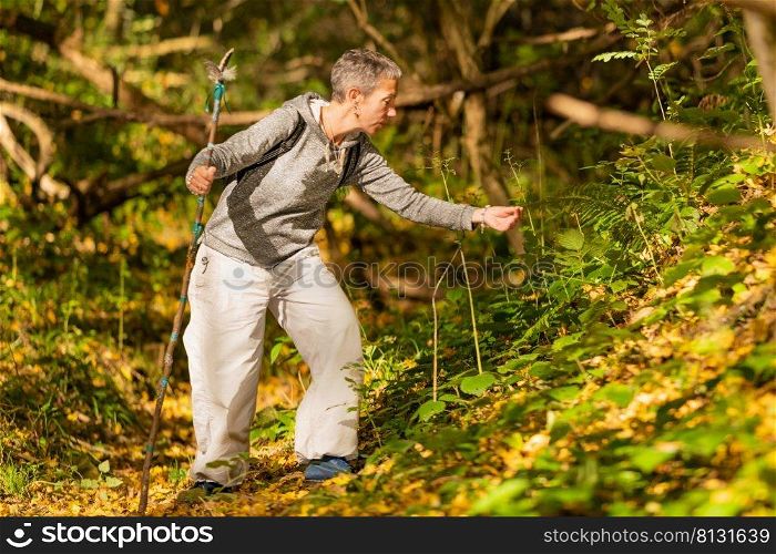 Mindfulness in motion. Mindful middle-aged woman exploring the forest in the fall. Mindfulness in motion