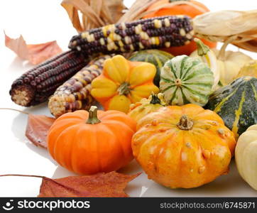 Mini Pumpkins And Indian Corn ,Close Up