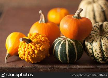 mini pumpkins on wooden background