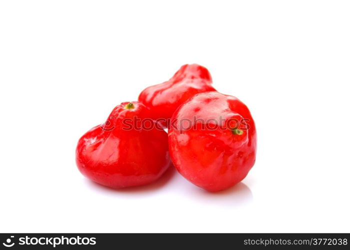 Mini Rose Apple on White Background