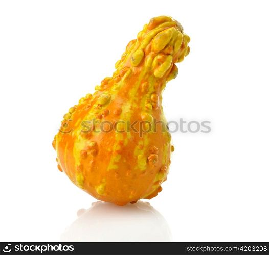 Mini Yellow Pumpkin On White Background