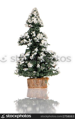 Miniature green pine tree with white snow on white reflective background.