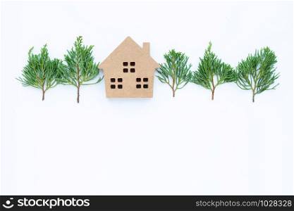 Miniature house with dragon juniper&rsquo;s leaves (Juniperus chinensis) on white background.