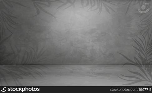 Minimal Empty studio Room with palm leaves on Gray Cement Wall Texture Background with Light and Shadow on Concrete floor. Vector 3D backdrop, Gallery with Copy space for holizon banner