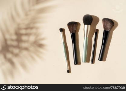 Minimal modern cosmetic scene with make up brushes set and shadow overlay. make up brushes