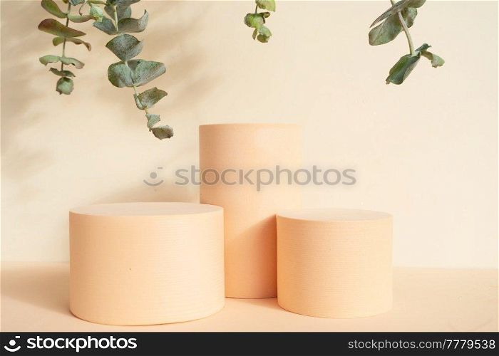 Minimal modern product display on beige background with podium and fresh eucaliptus leaves. Minimal product display