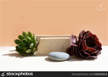 Minimal modern product display on beige background with podium with fresh succulent plants. Minimal product display