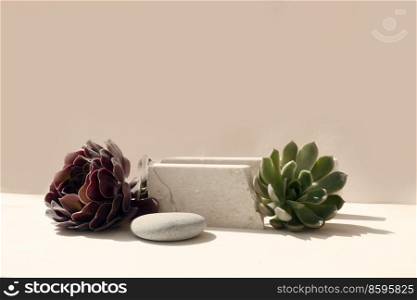 Minimal modern product display on beige background with podium with fresh succulent plants, toned. Minimal product display