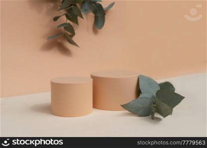 Minimal modern product display podium on textured earth tones background with eucaliptus leaves. Minimal product display