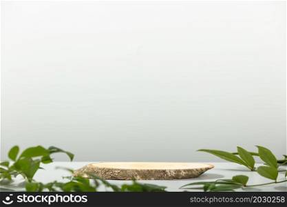 Minimal modern product display Wood slice podium and green leaves. Concept scene stage showcase for new product, promotion sale, banner, presentation, cosmetic
