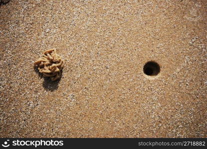 minimal photo of a rock worm on a beach