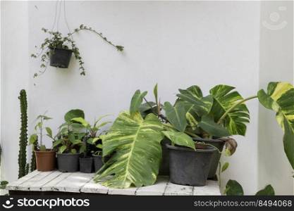 Minimal style decoration of outdoor garden, stock photo