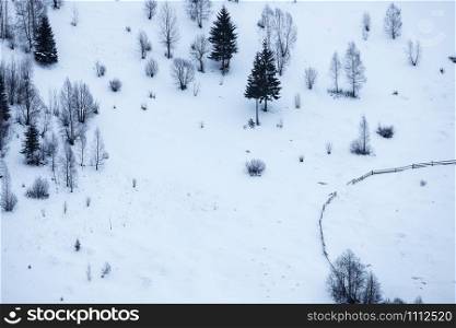 minimal winter mountain hill landscape with trees