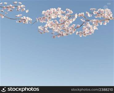 Minimalism Japanese cherry blossom branch beautiful natural tree with clear blue sky background 3D rendering illustration