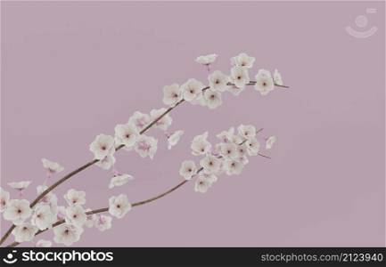 Minimalism Japanese cherry blossom branch beautiful natural tree with pink background 3D rendering illustration