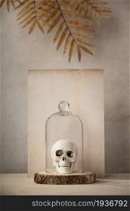 Minimalist monochrome still life composition with miniature skull in glass dome and leaves in beige color, abstract modern art design concept