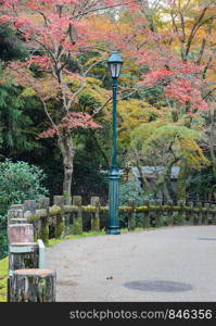 Minoo or Minoh park in autumn, Osaka, Japan. One of Japan?s oldest national parks.
