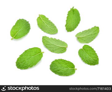 Mint green leaves isolated on white background.