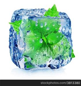 Mint in ice cube isolated on white
