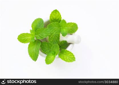 Mint in porcelain mortar and pestle on white.. Mint in porcelain mortar and pestle on white background.