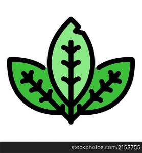 Mint leaf icon. Outline mint leaf vector icon color flat isolated. Mint leaf icon color outline vector