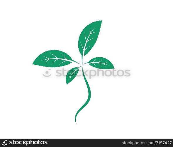 mint leaf illustration vector template design