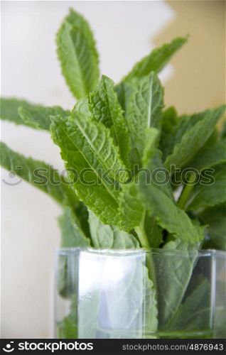 Mint leaves in a glass &#xA;