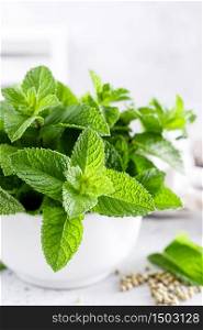 Mint leaves in bunch on white kitchen table closeup