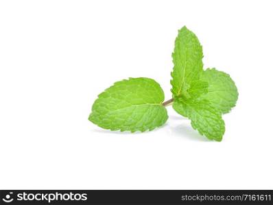 Mint leaves isolated on white background.