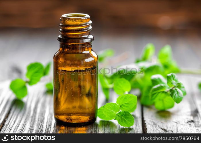 Mint oil