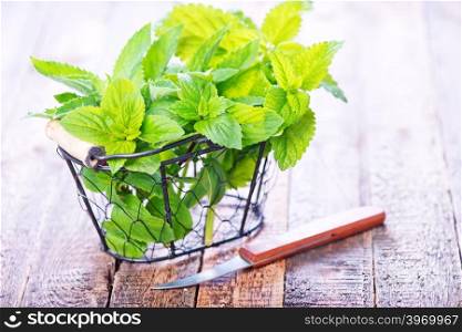 mint on the wooden table, fresh mint