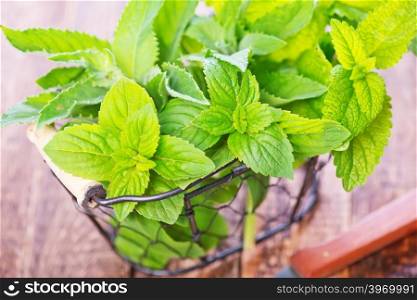mint on the wooden table, fresh mint
