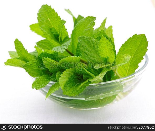 Mint sprigs in bowl