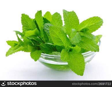 Mint sprigs in bowl