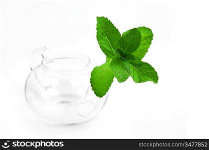 mint tea on white close up