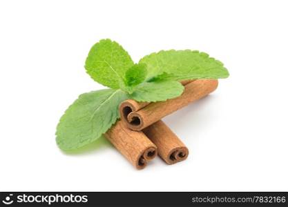 Mint with cinnamon on wood background