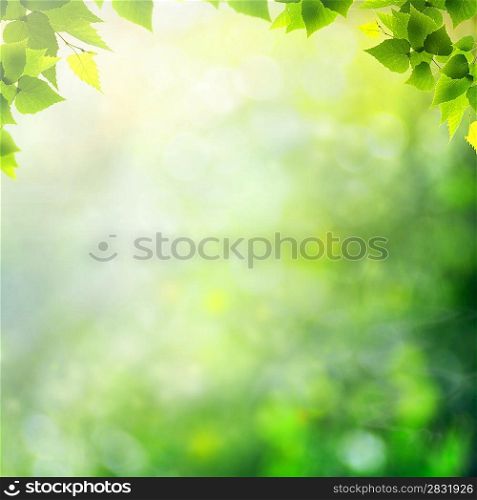 Miracle day on the summer meadow. Abstract natural backgrounds